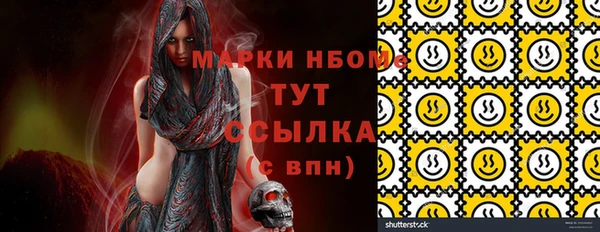 молекула духа Верхний Тагил